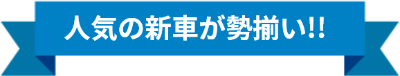 人気の車種が勢揃い！