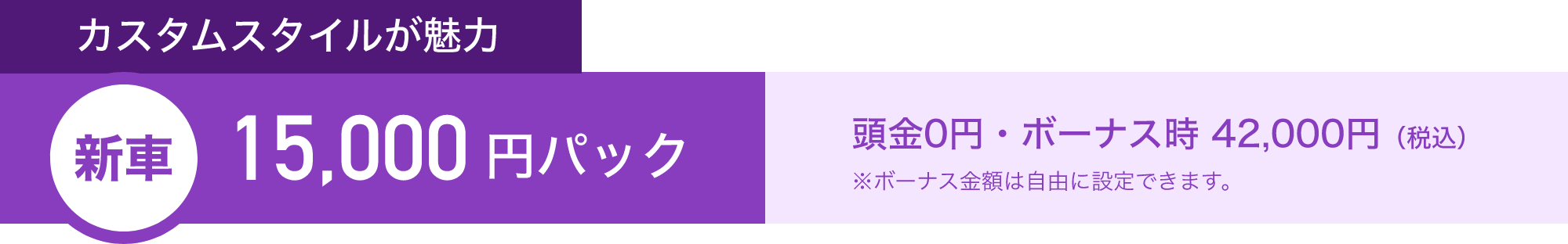 カスタムスタイルが魅力　新車15,000円パック