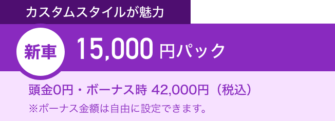 カスタムスタイルが魅力　新車15,000円パック